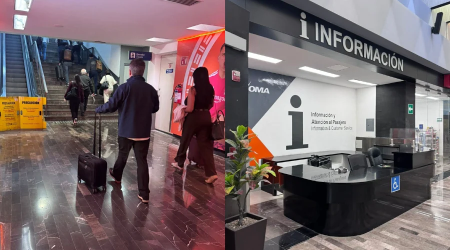 ¡Hasta cucarachas! Exhiben malas condiciones del Aeropuerto de Monterrey