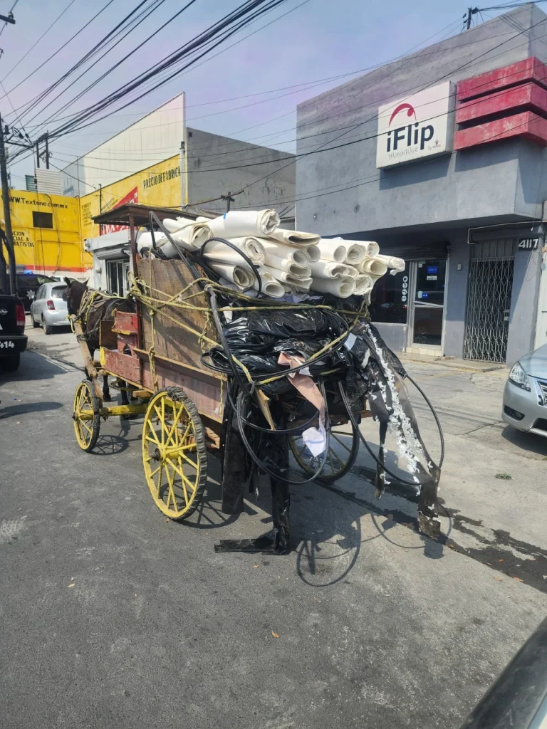 Detienen a carretonero por golpear a su caballo en Monterrey 2 627212809 792517986737711 5834230216577702471 n