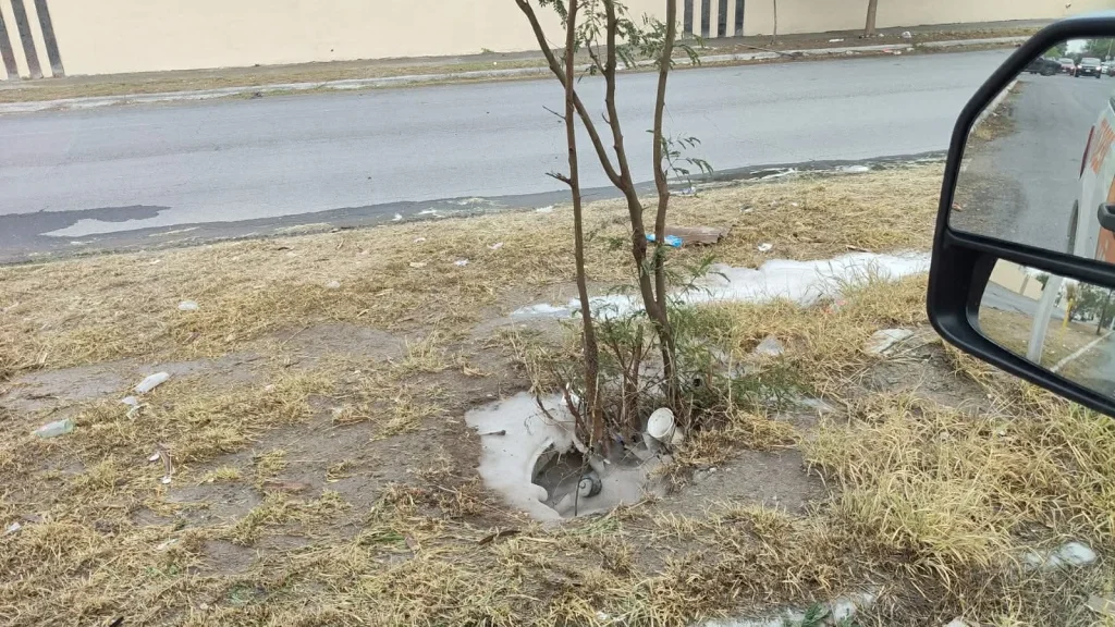 Ataque de abejas deja a una mujer y tres menores lesionados en Guadalupe 1 649828179 1851447218846217 2723545041929528900 n