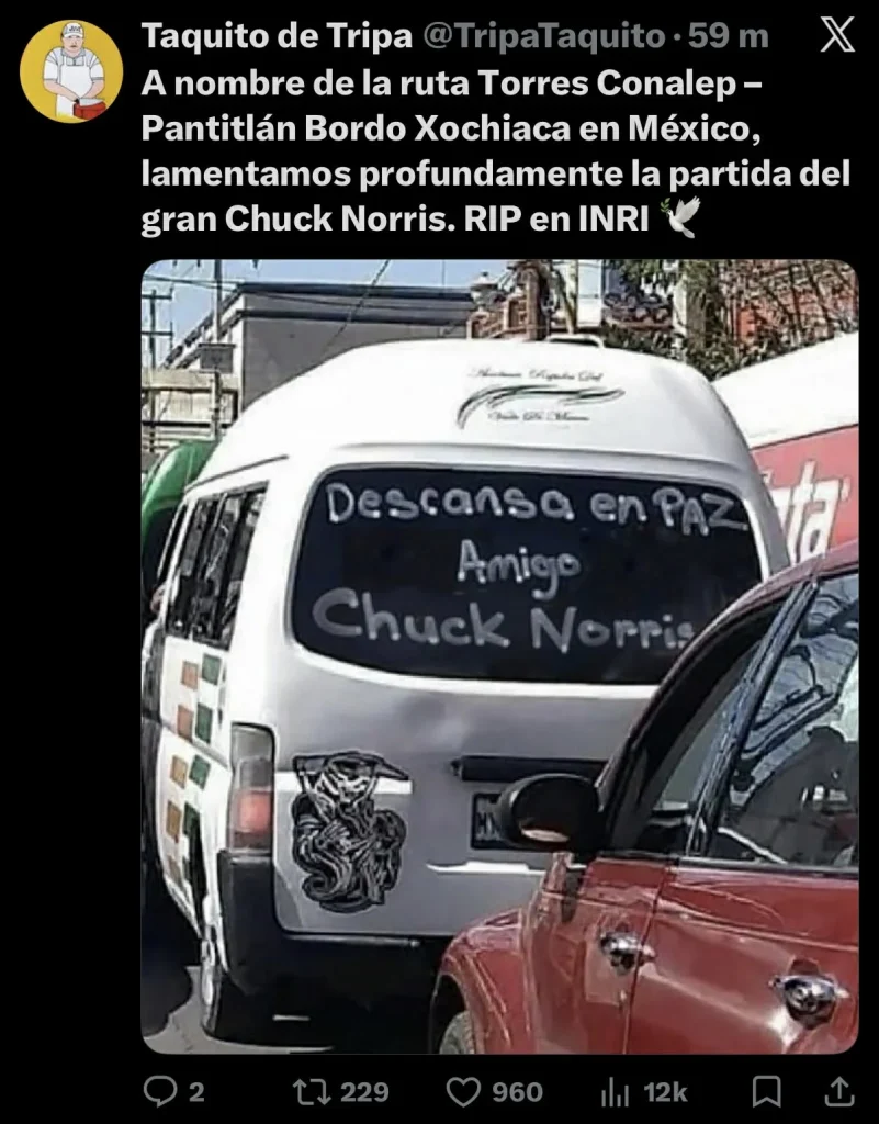 Homenajean con memes a Chuck Norris 4 652787292 34419986070980537 2479372898137923872 n