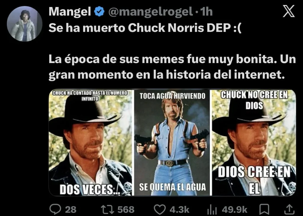 Homenajean con memes a Chuck Norris 5 654656562 1604685187318584 4951898721092839686 n