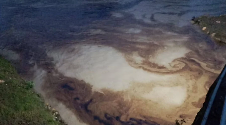 Derrame de hidrocarburo en Golfo de México genera preocupación