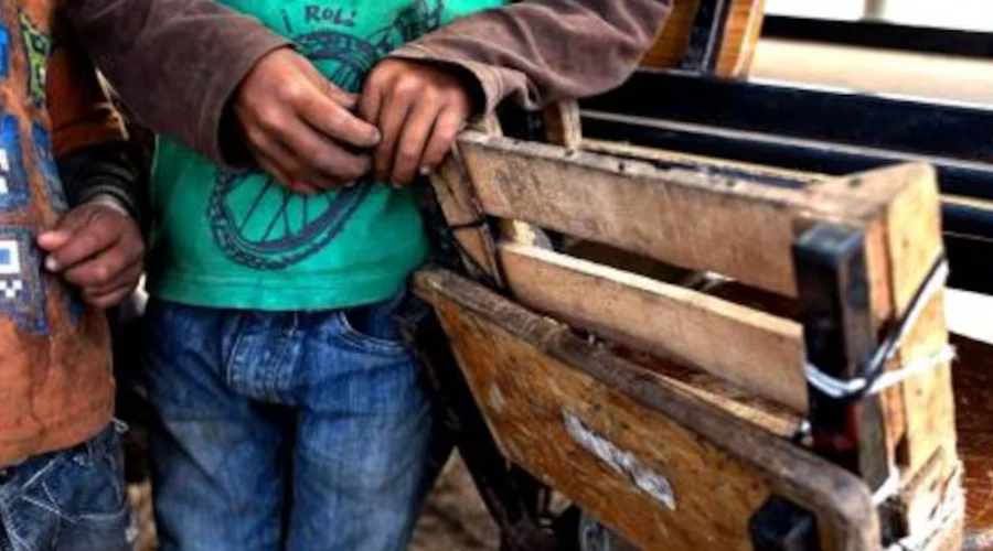 EU incluye a México en investigaciones por trabajo forzoso