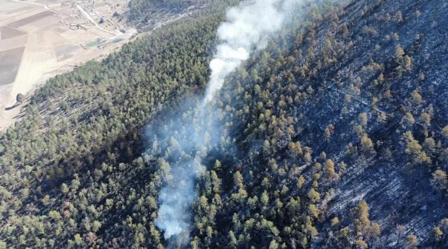 El panorama para el combate del incendio forestal en el ejido Vallehermoso de Miquihuana comienza a tornarse favorable gracias a la naturaleza, informó el coordinador Estatal de Protección Civil L