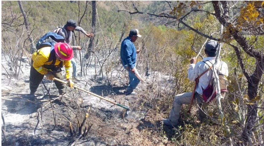 Controlan incendio forestal en Jaumave 1 JAUMAVE 1ac