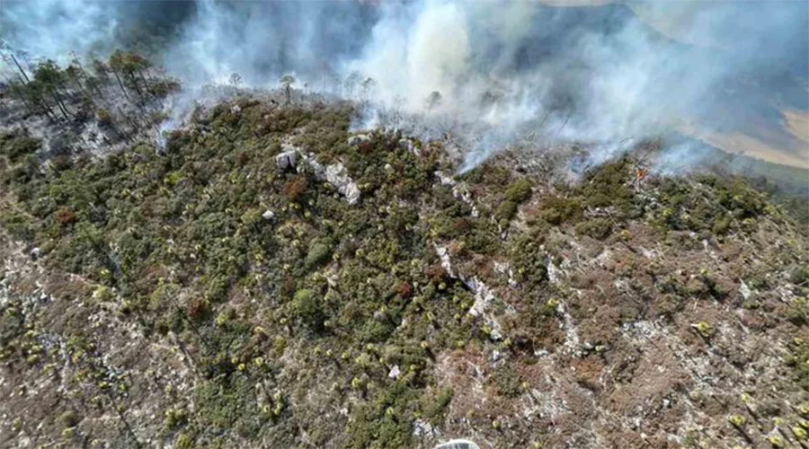 MILQUIHUANA INCENDIO OK