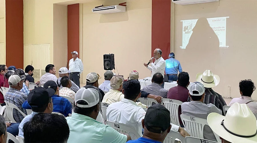 Responden agricultores a capacitación sobre el ajonjolí como siembra en San Fernando 1 SAN FER 23bbb