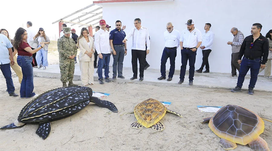 TORTUGAS 1sk