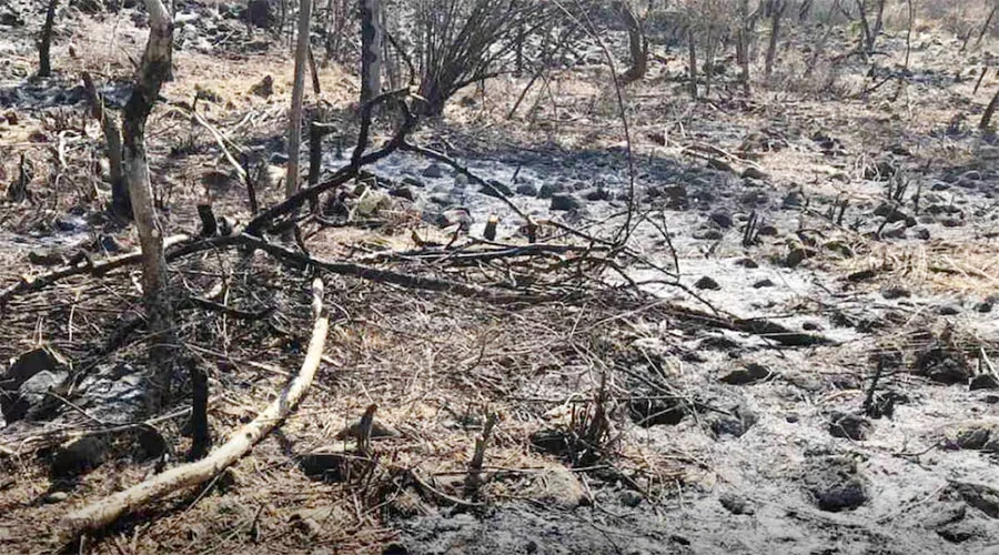 incendio tepoztlan 1a
