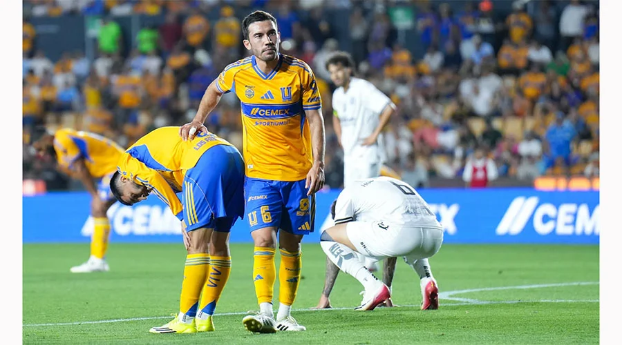 tigres 1k