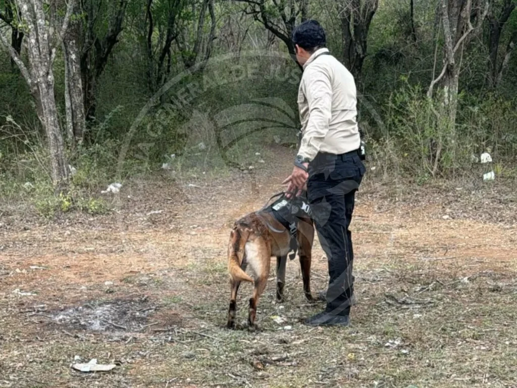 Realizan amplio operativo de búsqueda de desaparecido en zona citrícola de NL 1 663801312 26021695954193400 8715177922306299367 n 1
