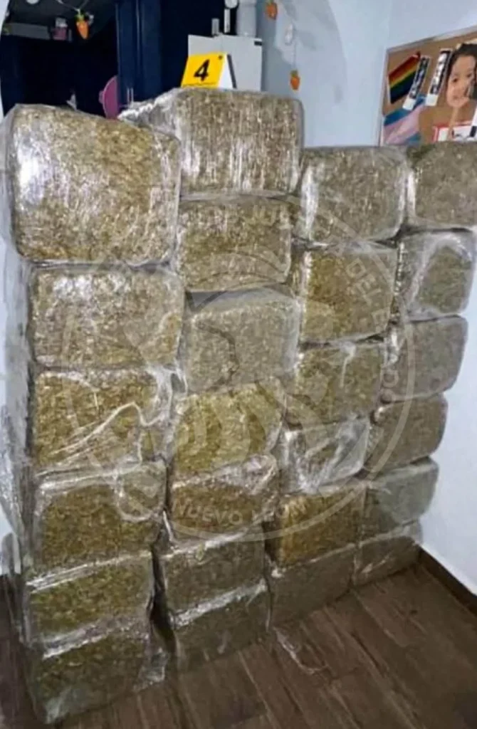 Aseguran casi 600 kilos de droga en colonia Independencia de Monterrey 1 664065076 1670036857779683 4438383143599884413 n