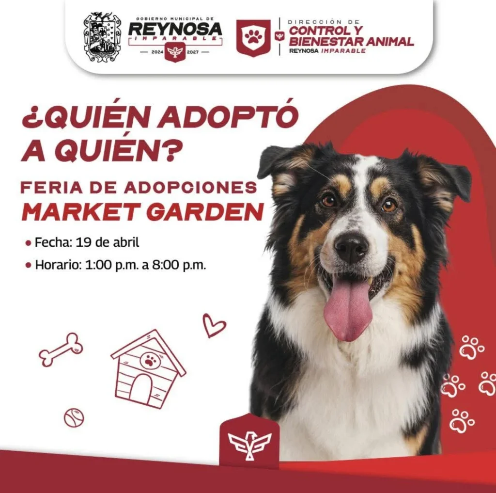 Ponen en adopción a perritos rescatados en Almendros 1 670488981 2138642030267672 104654127609084858 n