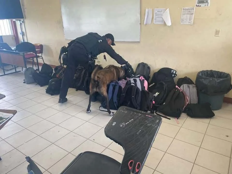 Atendió SSP 10 reportes falsos de tiroteos en Tamaulipas 1 673434295 2043457953237774 2605939306659727402 n