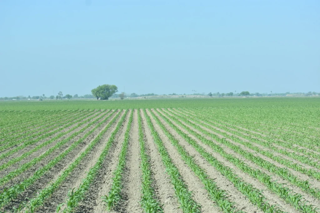 Agricultores tienen hasta este miércoles para registrarse al apoyo por falta de agua 1 674518066 1466973635154613 7139731941928481762 n
