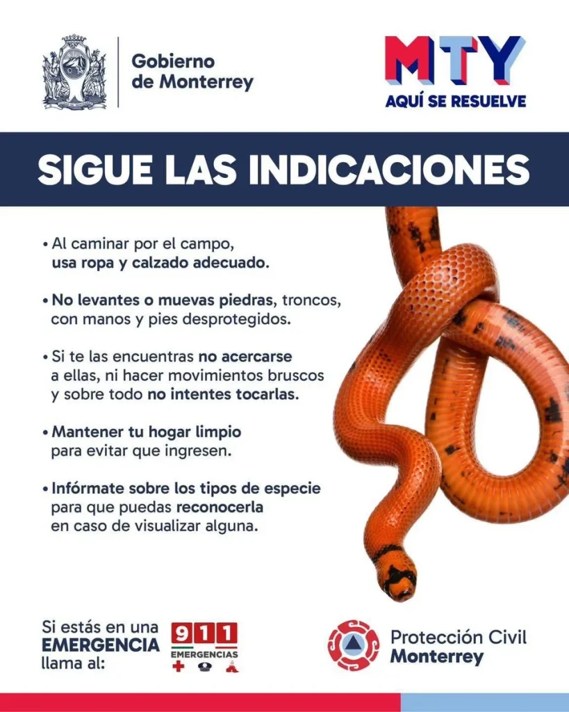 Alertan por avistamientos de serpientes durante época de calor 2 682402080 1413815397144065 4372477823018136795 n