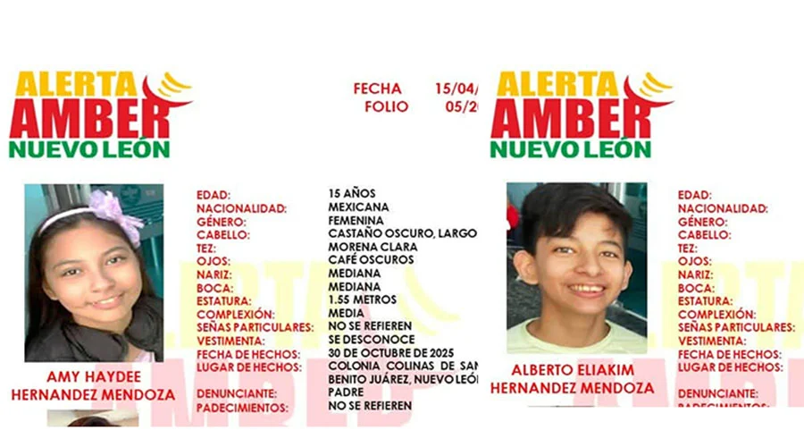 AMBER 223