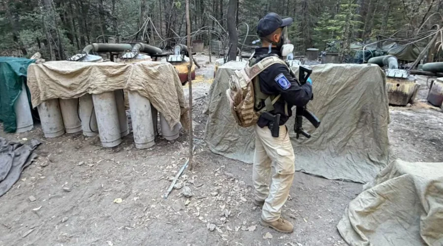Buscan sancionar autorización de participación de agentes sin permiso