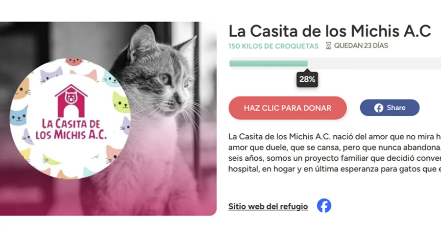 Casita de los Michis solicita apoyo urgente ante falta de alimento