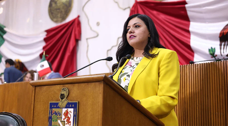 Avanza en NL elevar lactancia materna a rango de derecho constitucional 2 DIPUTADA NL 1a1