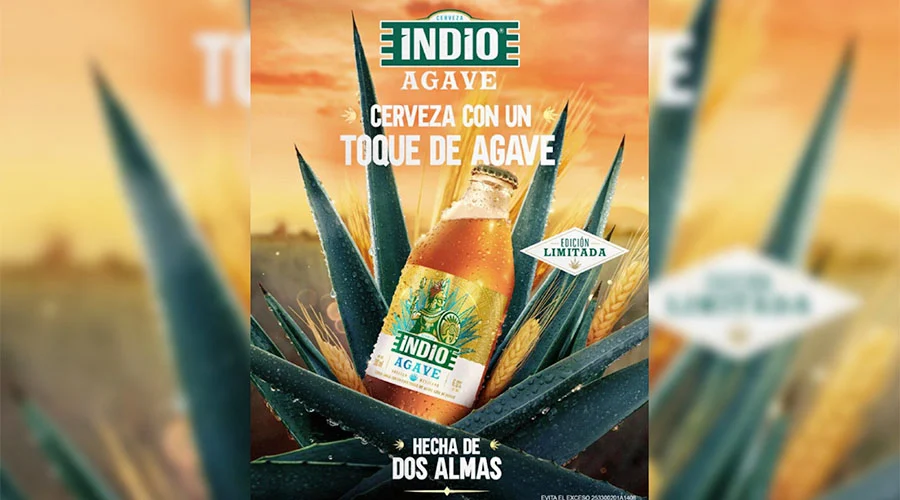 INDIO AGAVE 1a