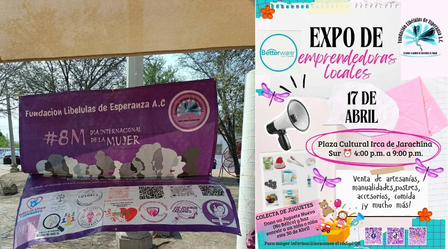 Invita Libélulas de Esperanza a Expo de emprendedoras locales con causa