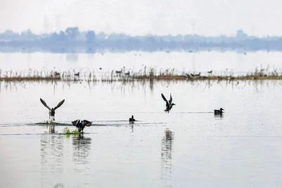 Suprema Corte declara al Lago de Texcoco como Área Natural Protegida 1 LAGO DE TEXCOCO