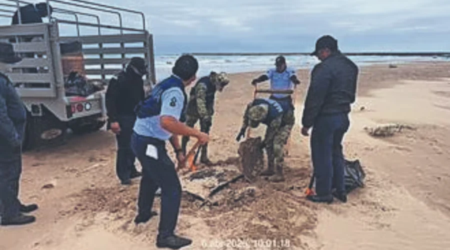 Las investigaciones para determinar el origen del derrame de crudo que afectó las playas del golfo de México continúan y hay indicios de que pudieron ser varios eventos, aseguró ayer la presidenta