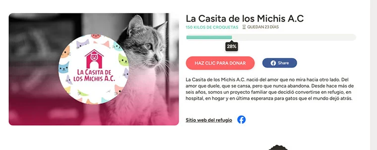 Casita de los Michis solicita apoyo urgente ante falta de alimento 1 MICHIS 1a