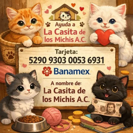 Casita de los Michis sigue solicitando apoyo para campaña de alimentos 1 MICHIS OK 1a