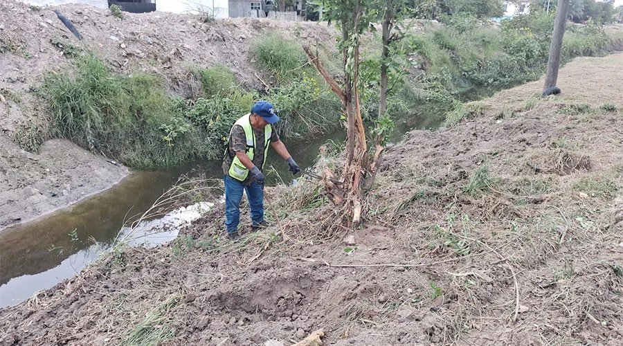 REYNOSA DESAzOLVE