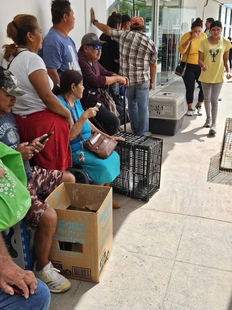 Reparte Almaraz más de 30 mil gallinas en Río Bravo 2 706064117 2156036448519346 5832967919996233167 n
