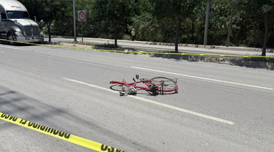 BICICLETA 12