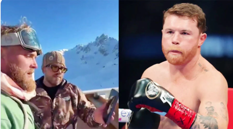 CANELO 23sa