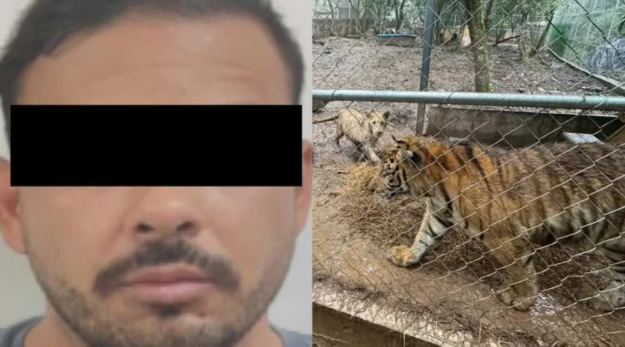Cae presunto líder delictivo tras cateos en Nuevo León
