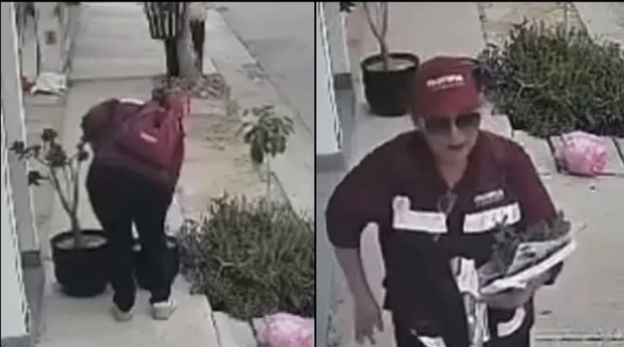 Captan a colaboradora de Morena robando planta de ornato en Sinaloa