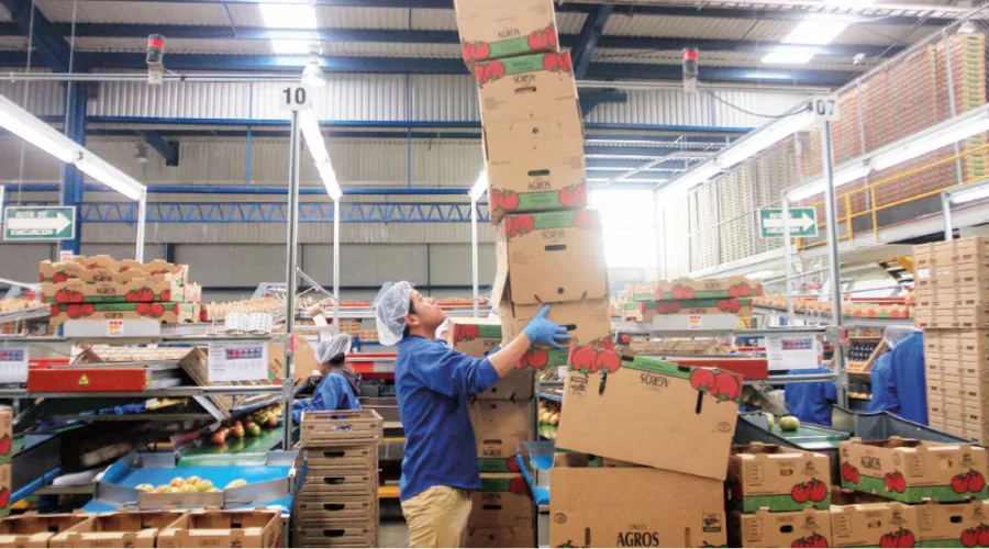 EU pide mejores salarios para trabajadores mexicanos