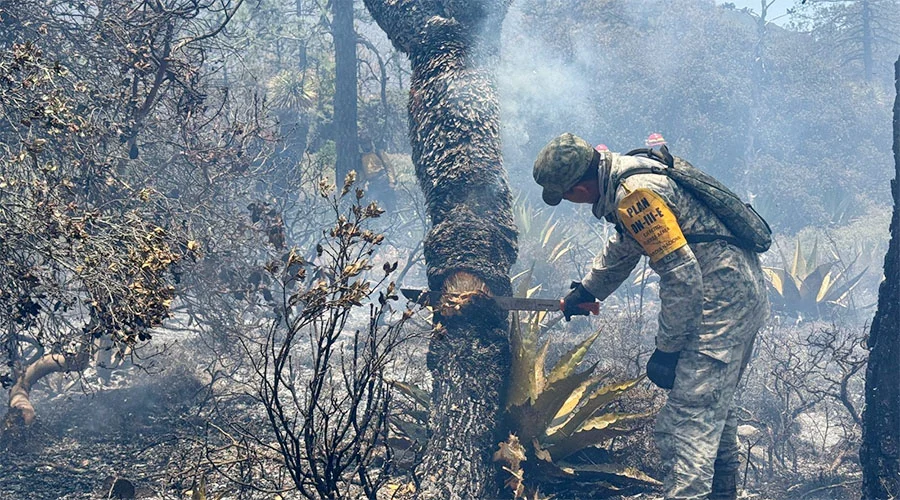 INCENDIO FORESTAL 8s