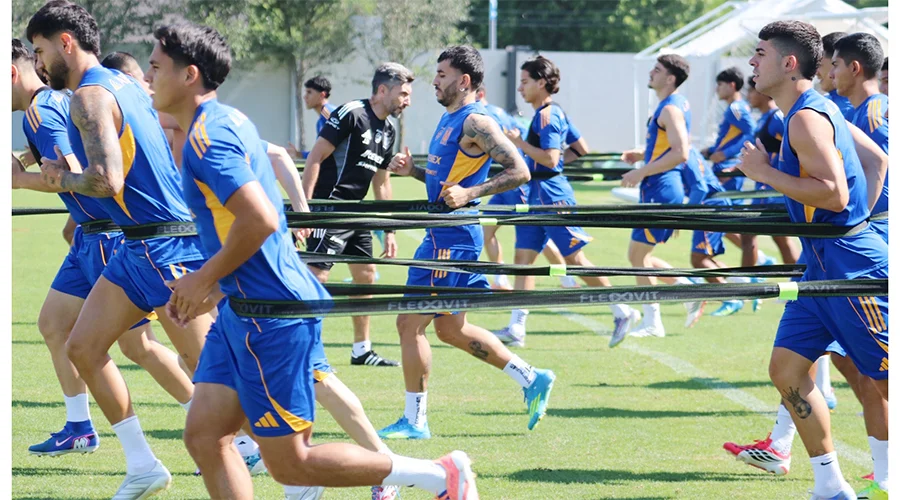 TIGRES 992