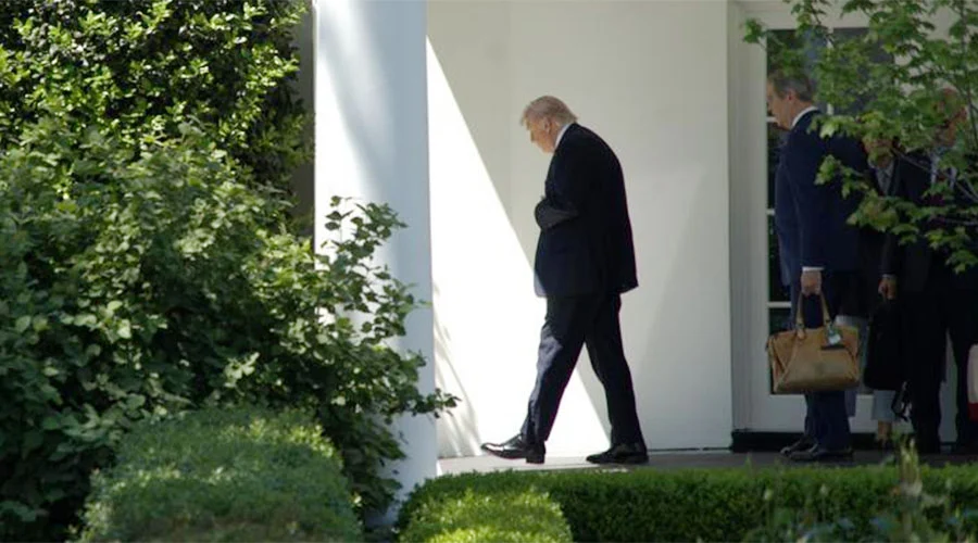 TRUMP 982