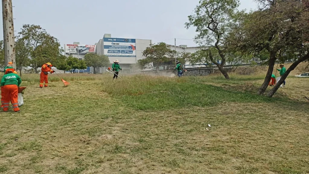 Intensifica NL acciones para mantener espacios públicos limpios 1 image00005