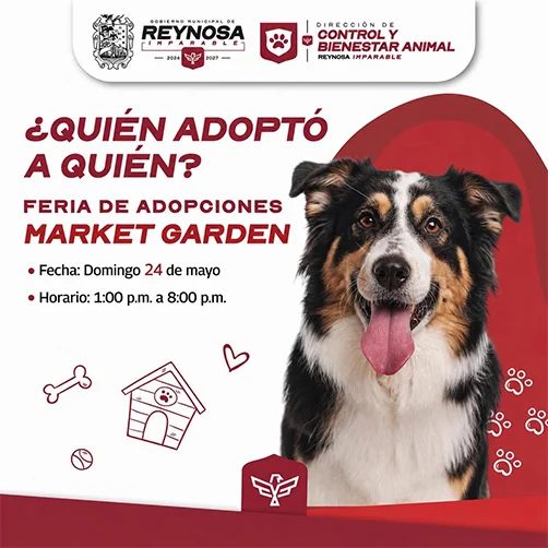 Invita Carlos Peña Ortiz a la Feria de Adopciones este domingo 24 de mayo 1 perritos 2bb