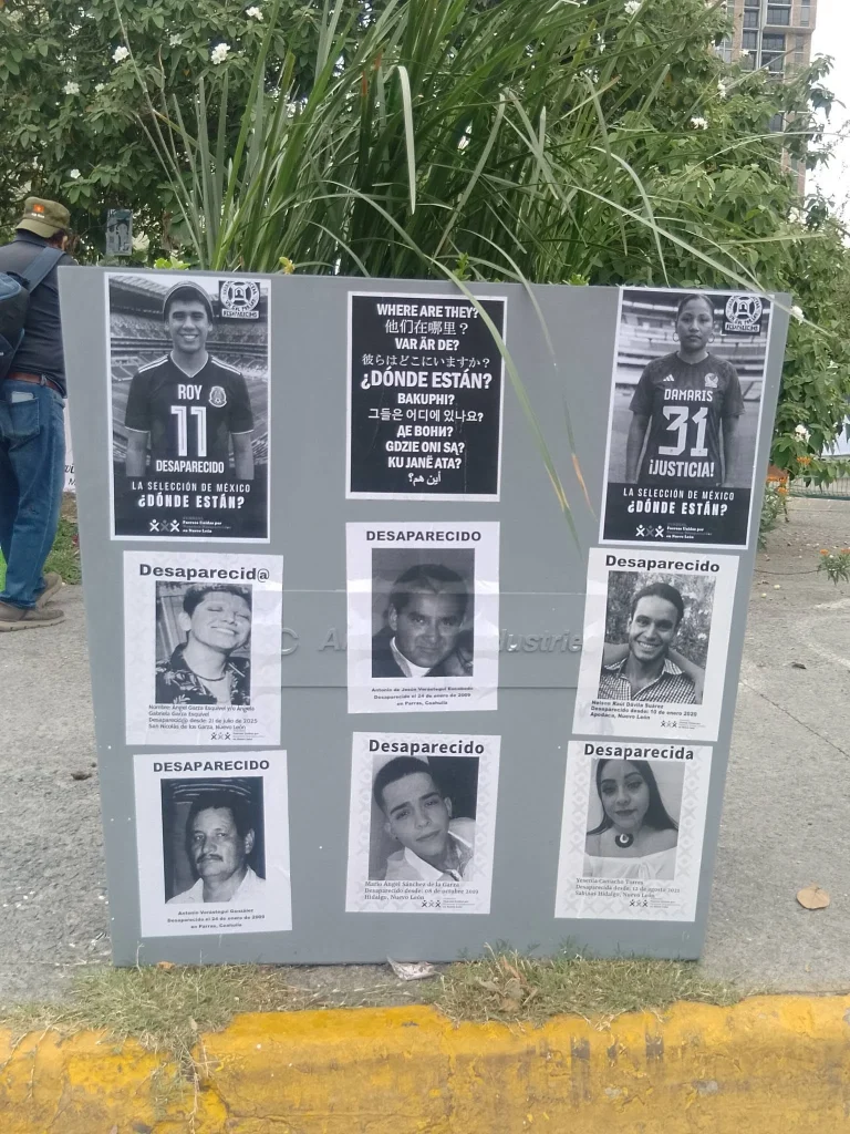 ‘Esconden’ con macetas Plaza de los Desaparecidos 4 717095381 2070050760242921 7146826595729759553 n