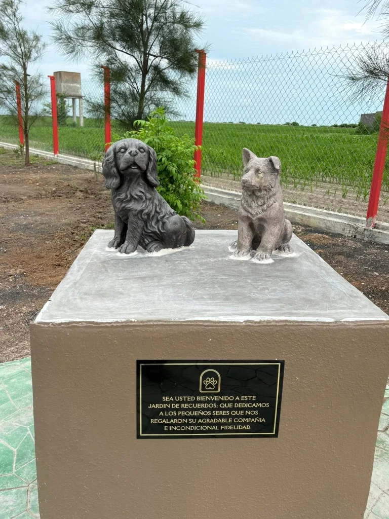 Valle Hermoso ya tiene su primer cementerio para mascotas 1 723612275 1534863541477061 5003304274463935075 n