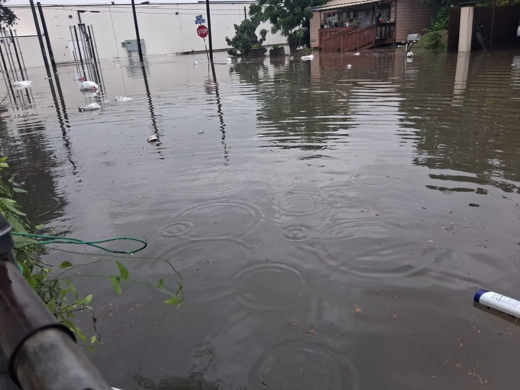 Declaran Weslaco como zona de desastre 6 723641220 1507004777006148 2049148033177333733 n