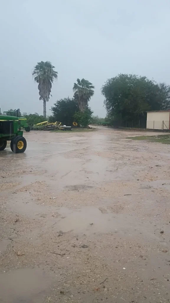 Lluvias benefician a zona agrícola del norte de Tamaulipas;reportan hasta 5 pulgadas en Río Bravo 1 724220813 1522841642541895 213140179774276809 n