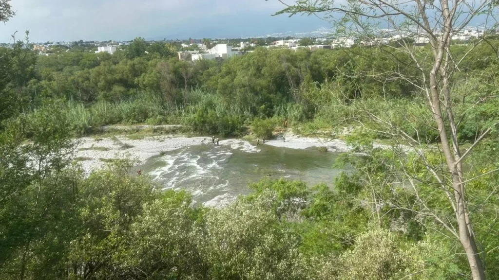 Buscan a dos personas arrastradas por corrientes de agua en Guadalupe y Monterrey 1 725435608 1484868752902962 505053738548643121 n