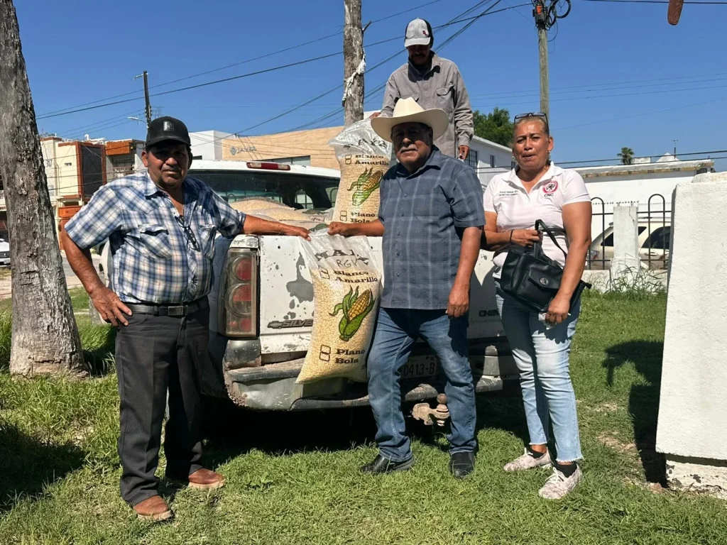 Entregan casi una tonelada de semilla de maíz a productores rurales de Reynosa 1 726493199 2077969286266350 7739544746610844594 n