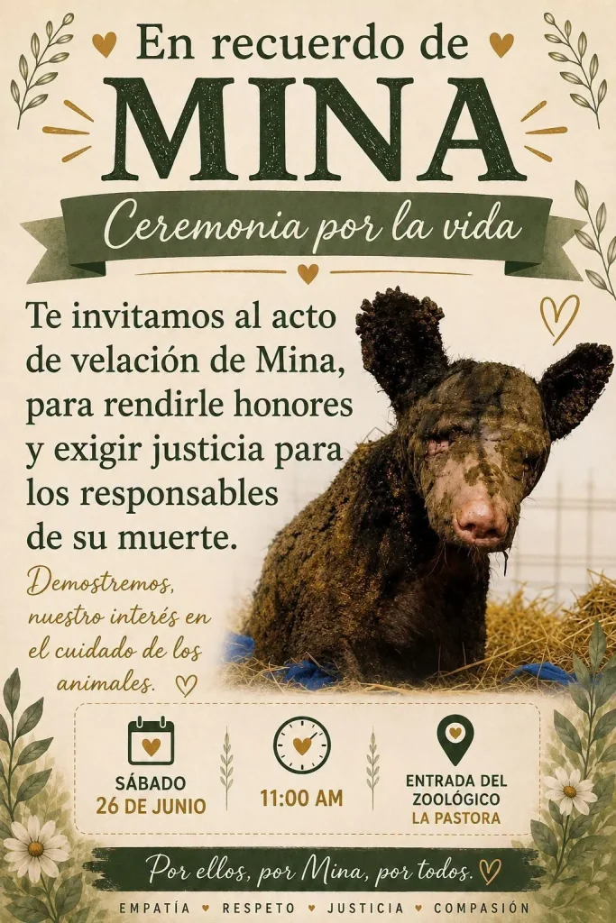 Convocan a velación por osa Mina frente a La Pastora para exigir justicia 1 729746640 1306283711672438 1631032242350747893 n