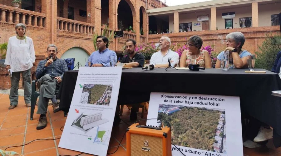Ambientalistas exigen proteger selva baja caducifolia en Cuernavaca